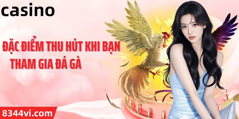 Hình ảnh quảng cáo của jss77 hiển thị nền tảng và các lợi ích